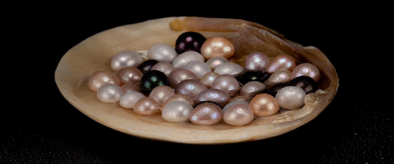 Akuna Pearls | Freshwater Pearl Jewellery | Made in Australia