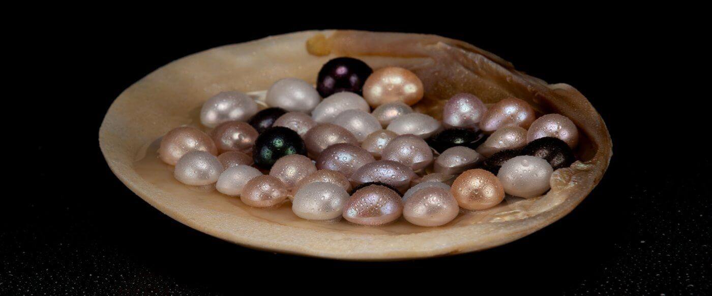 Through The Eyes Of A Pearl Enthusiast: Everything You Need To Know About Freshwater Pearls