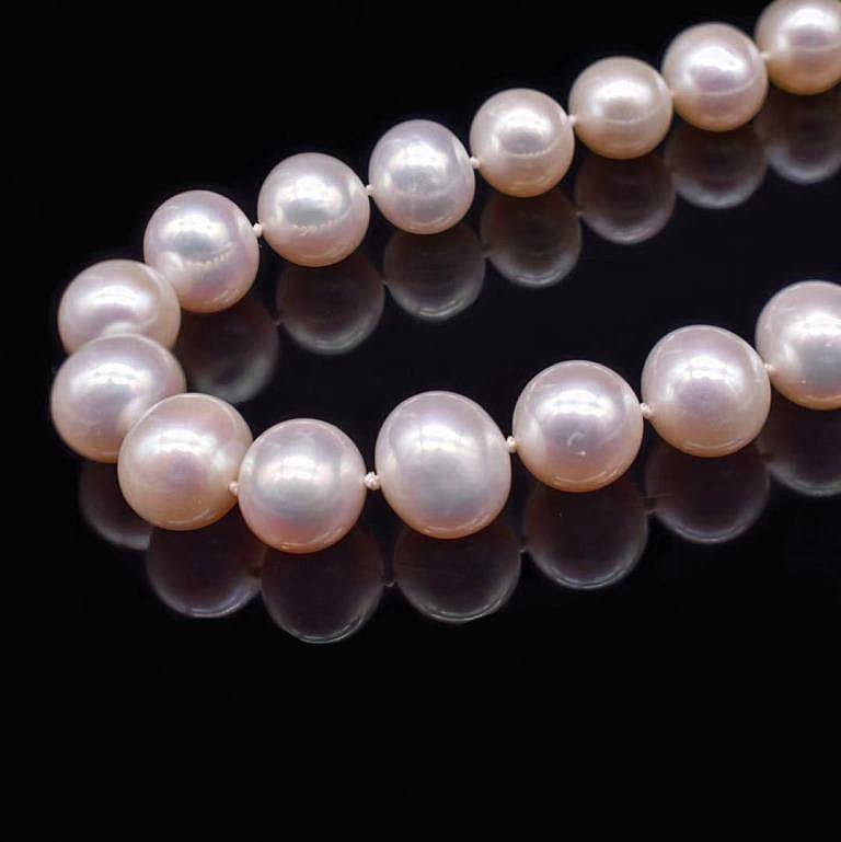 Classic Freshwater Pearl Necklace - Hathaway - Akuna Pearls