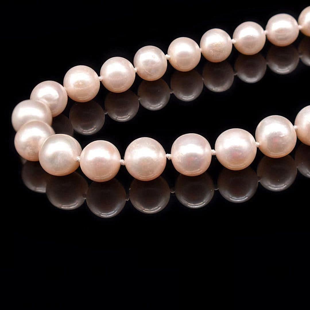 Classic Freshwater Pearl Necklace - Adelaide - Akuna Pearls