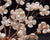 Handmade Freshwater Pearl Flowers Gift Set - Misaki - Akuna Pearls